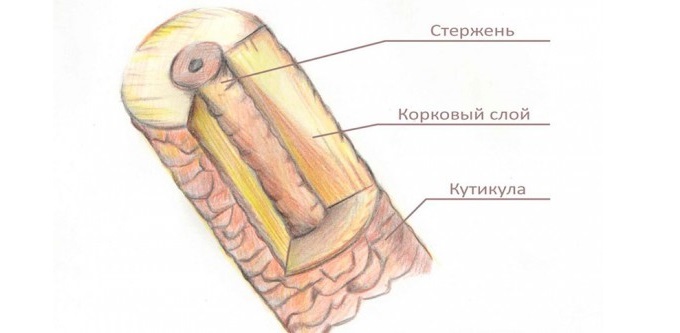 Уход за ресницами