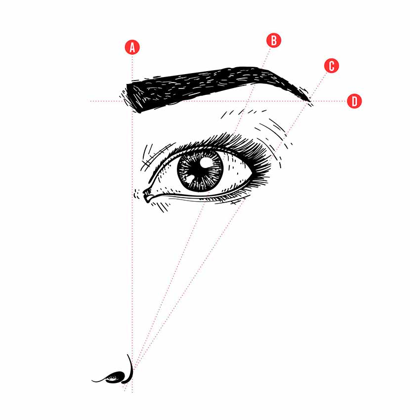 5 точек для разметки бровей