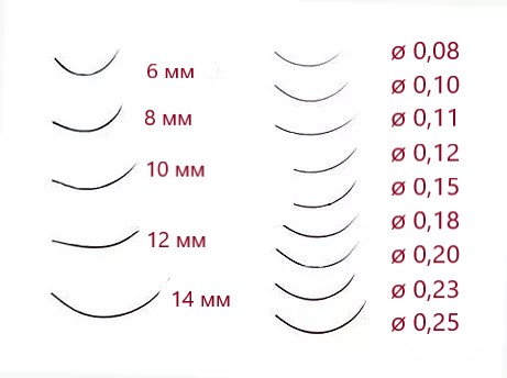 Какой толщины бывают ресницы