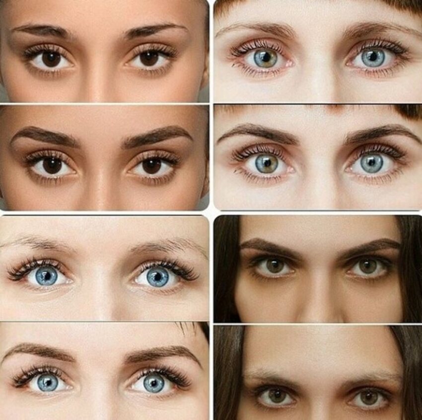 Подбор формы бровей под особенности глаз