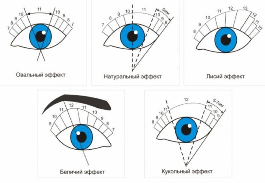 7 схем наращивания ресниц для начинающих