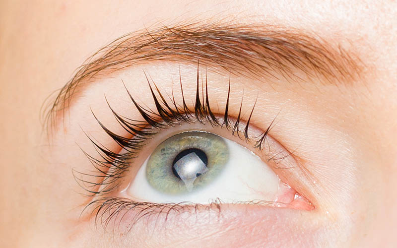 Рекомендации по уходу за ресницами, окрашенными перманентной тушью Рекомендации по уходу за ресницами, окрашенными перманентной тушью